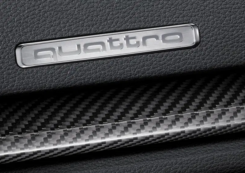 Audi RS 3 (2017-20) (19)