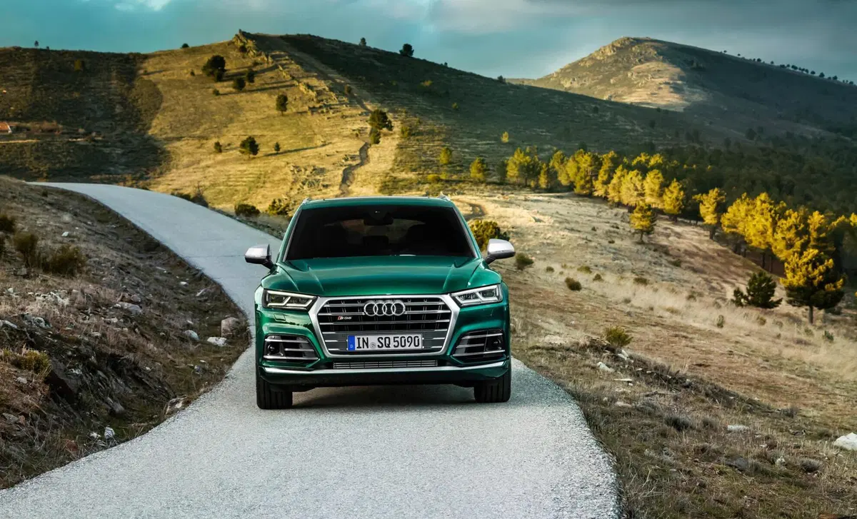 Audi SQ5 3.0 TFSI quattro tiptronic (17)