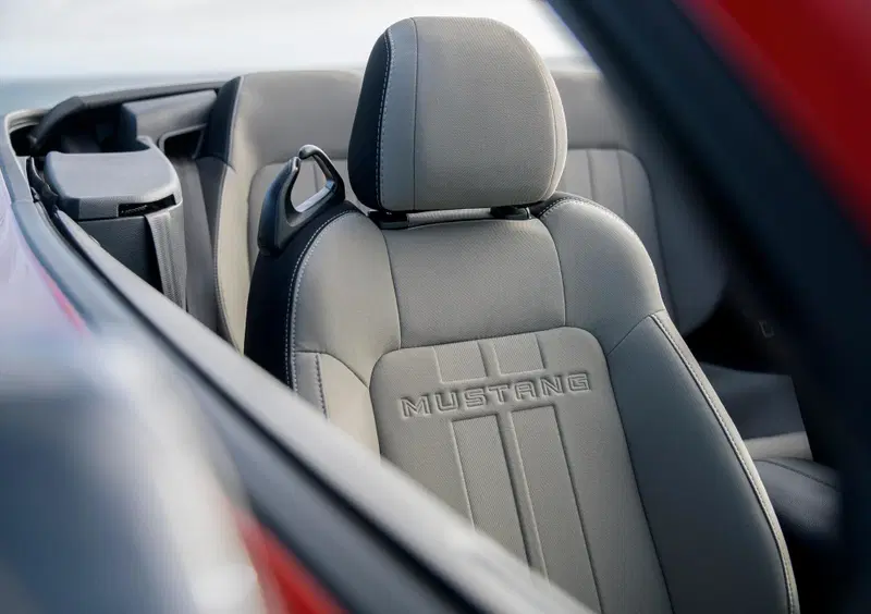 Ford Mustang Cabrio (2015-24) (13)