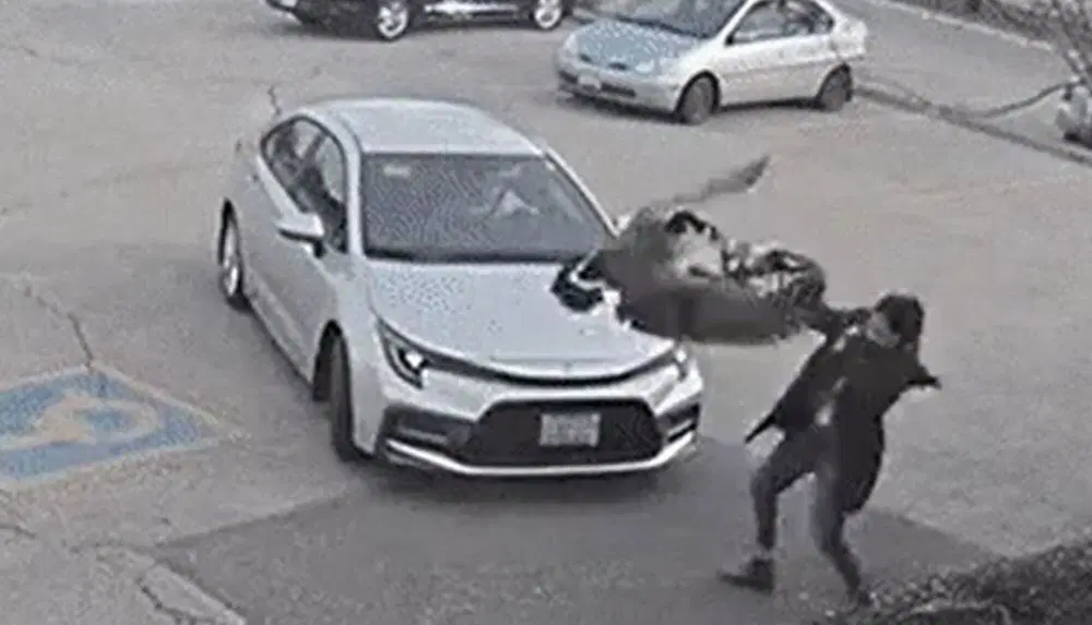 L'uomo sblocca le portiere, per far salire la donna in auto, ma insieme a lei si infila dentro anche l'uccello che le stava addosso