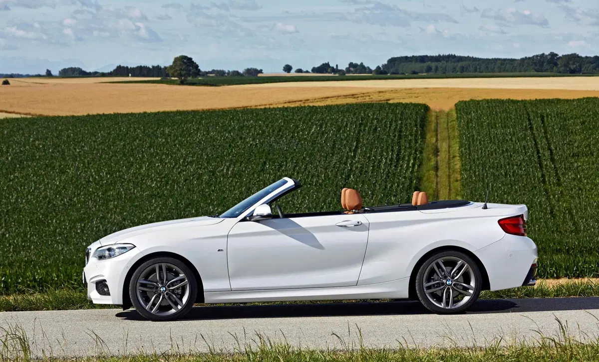 BMW Serie 2 Cabrio (2015-21) (2)