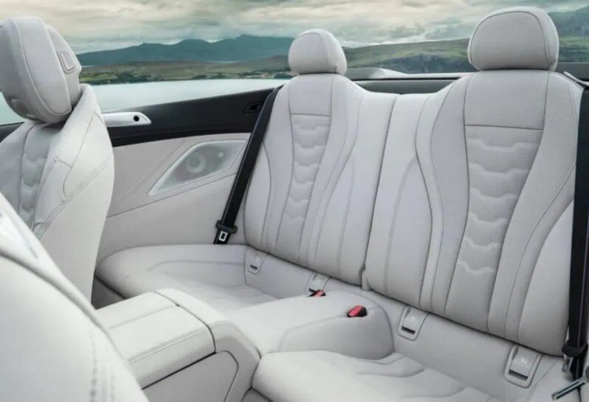 BMW Serie 2 Cabrio (2015-21) (27)