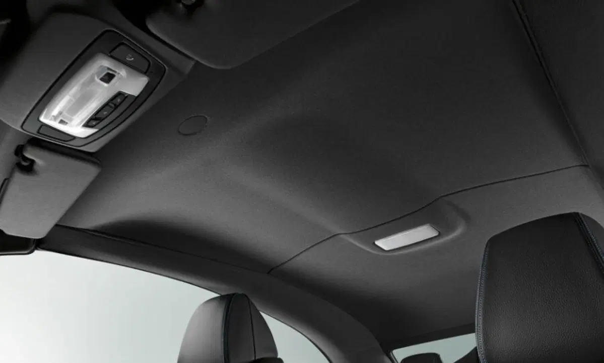 BMW Serie 2 Cabrio (2015-21) (28)