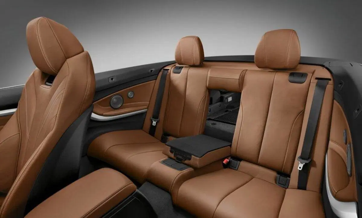 BMW Serie 2 Cabrio (2015-21) (13)