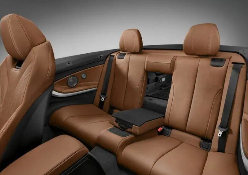 BMW Serie 2 Cabrio (2015-21) (13)