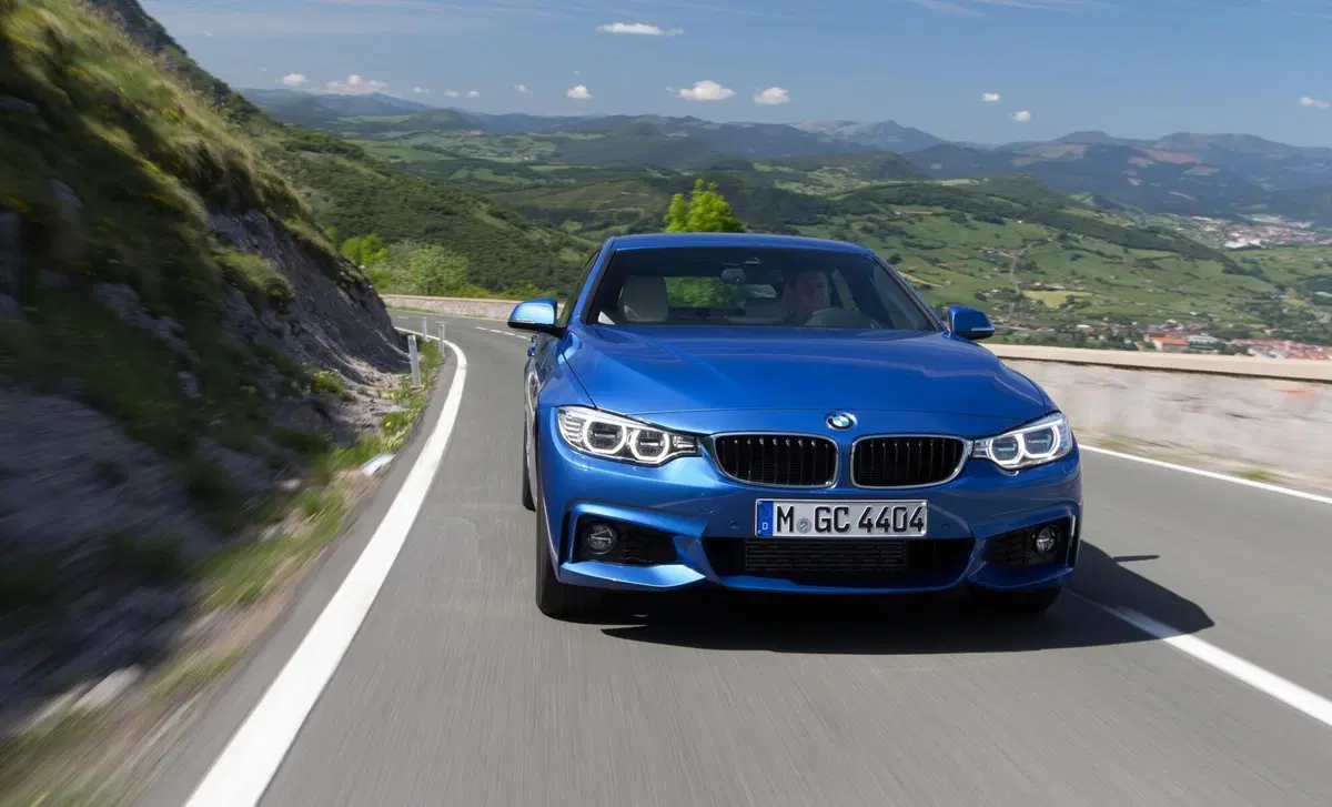 BMW Serie 4 Gran Coupé 420d xDrive  Advantage (17)