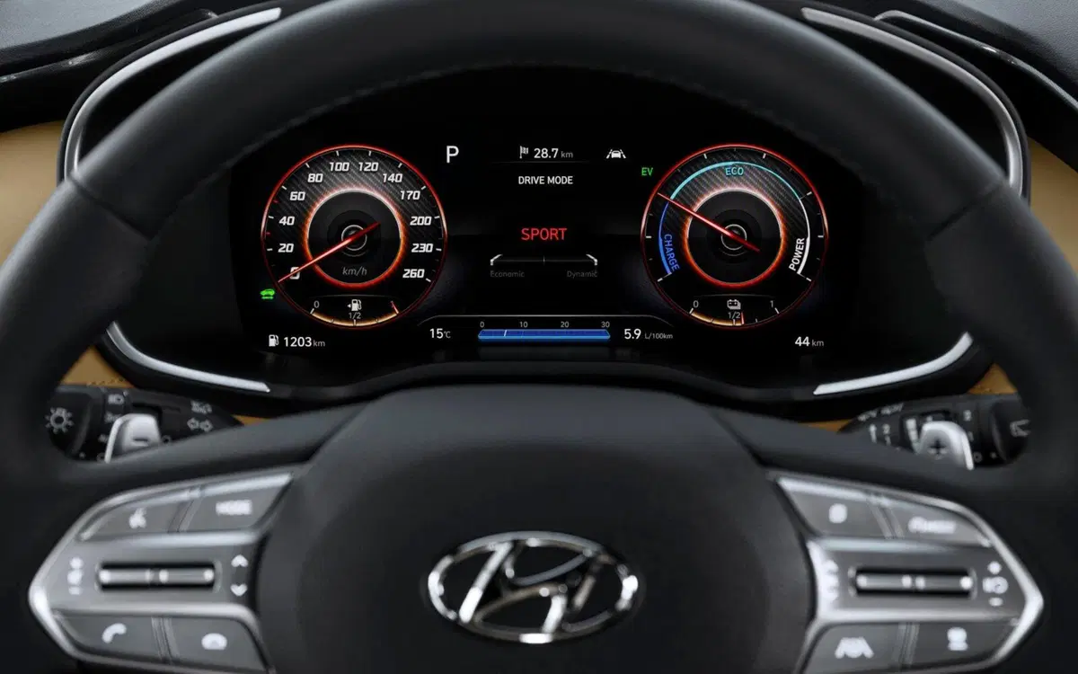 Hyundai Santa Fe (2018-22) (31)