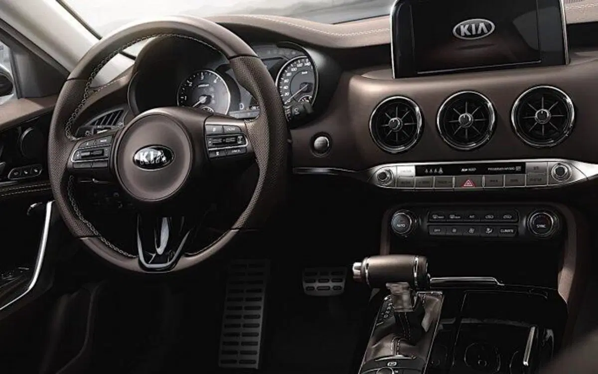 Kia Stinger (2018-21) (11)
