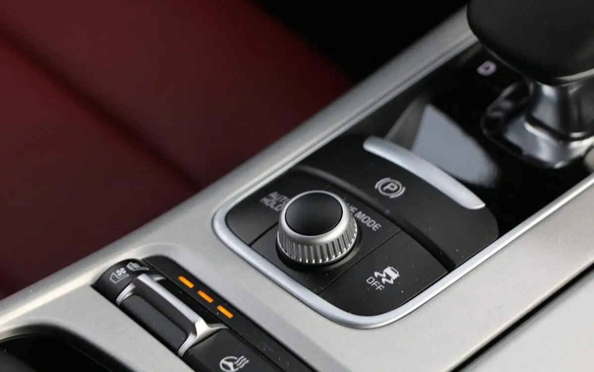 Kia Stinger (2018-21) (22)