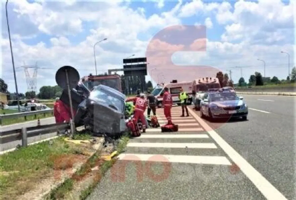 A "muro" con una Tesla a 81 anni: la colpa non è dell'Autopilot (2)
