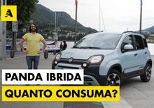 Fiat Panda Hybrid: il mild a 12 Volt funziona davvero?