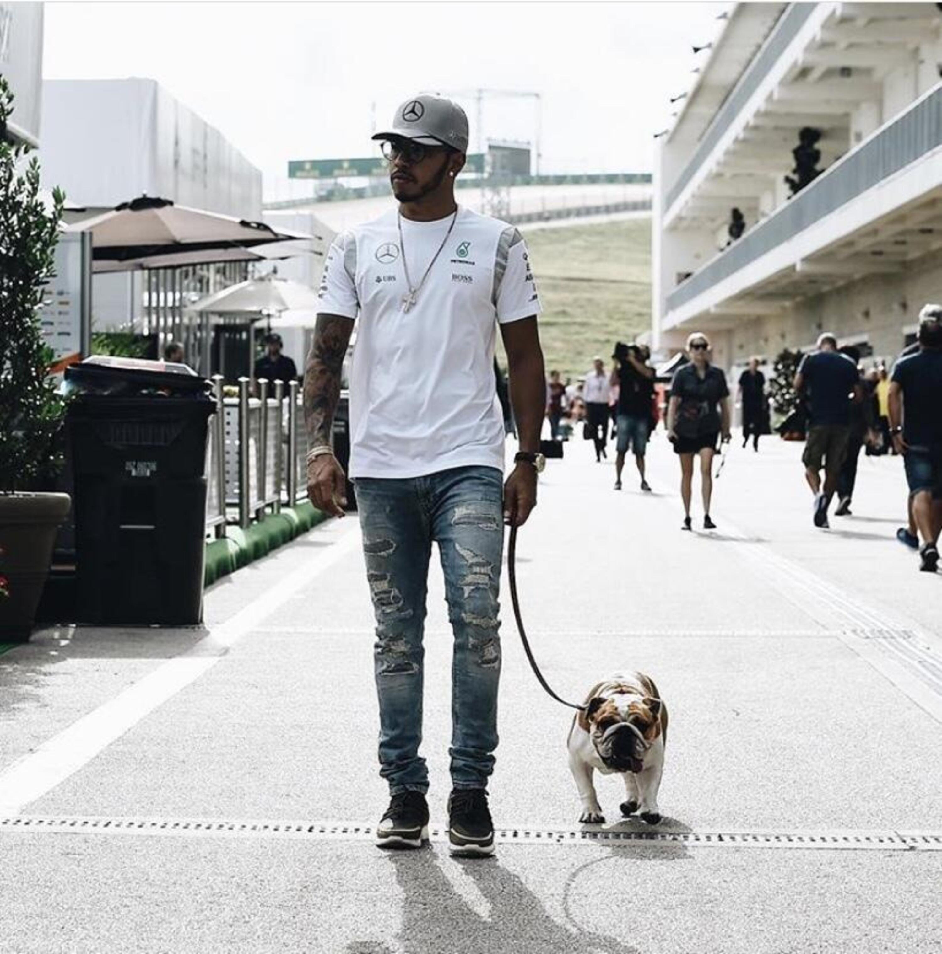F1, Hamilton dice addio alla sua Coco, il cane con il pass per il paddock