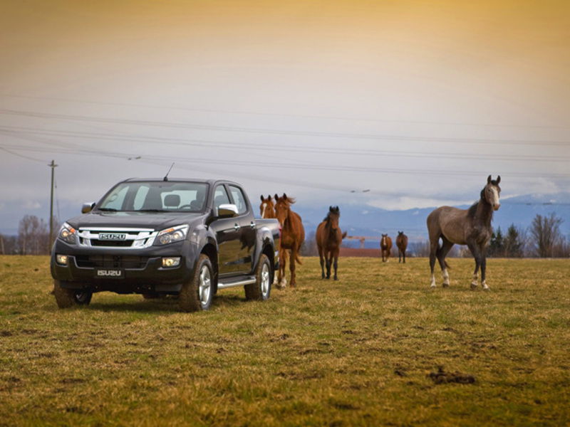 Isuzu D-Max Pick-up 2.5 Crew Cab Satellite 4WD