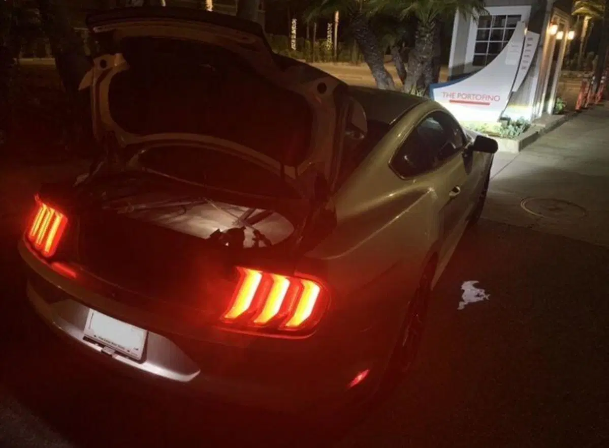 USA Coast to Coast in sole 25 ore e 55 minuti su una Mustang a noleggio  (5)