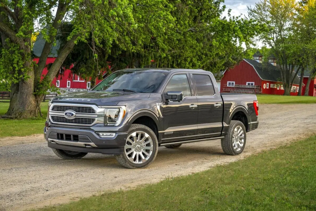 Ford F-150: ecco la generazione dei 43 anni (5)