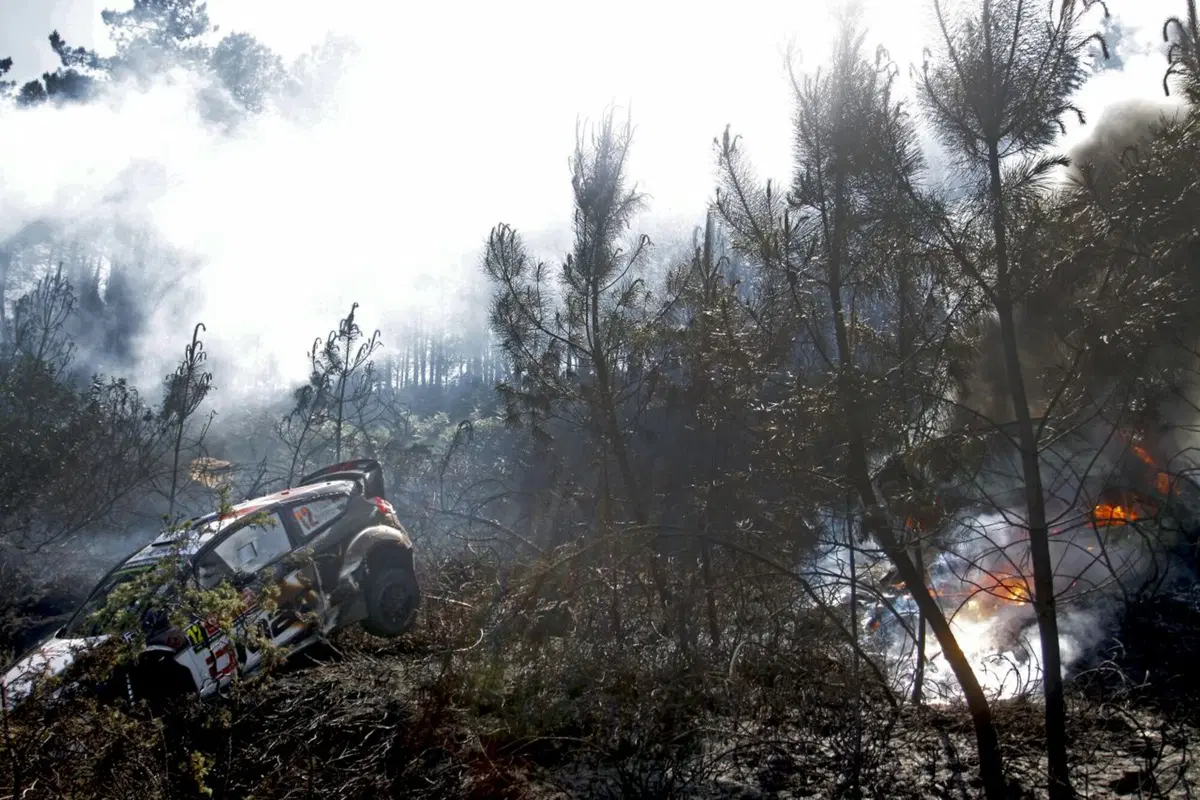 WRC 2016 con Hayden Paddon: Portogallo (18)