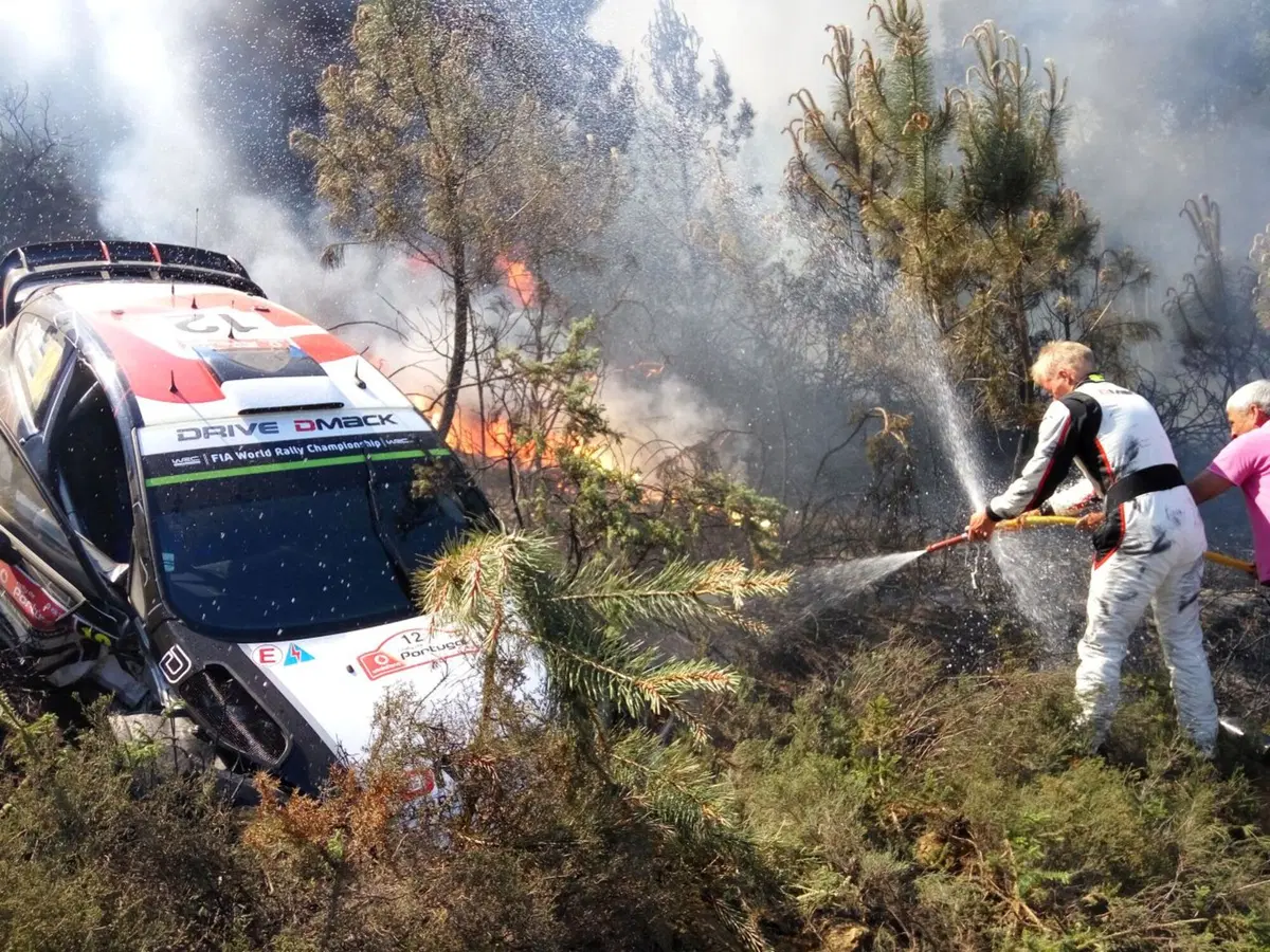 WRC 2016 con Hayden Paddon: Portogallo (20)