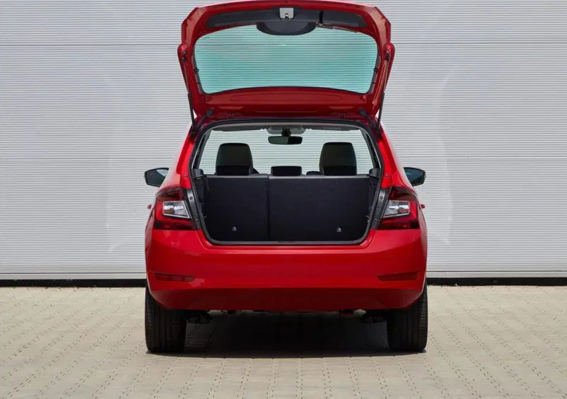 Skoda Fabia (2014-22) (14)