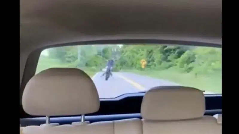 Pirlate rischiose in strada, Ciocco del motociclista che impenna [moto vola contro auto]