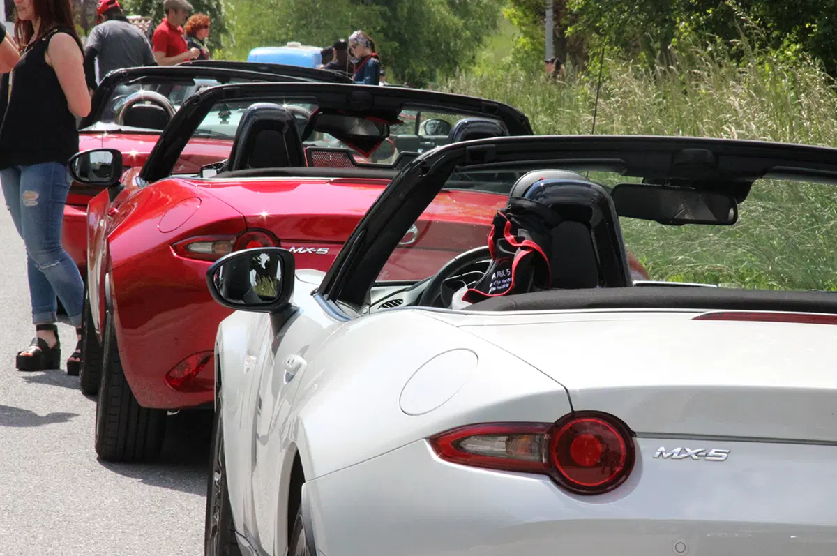 Mazda MX-5. Andar per Langhe 2016, il raduno dei grandi numeri (12)