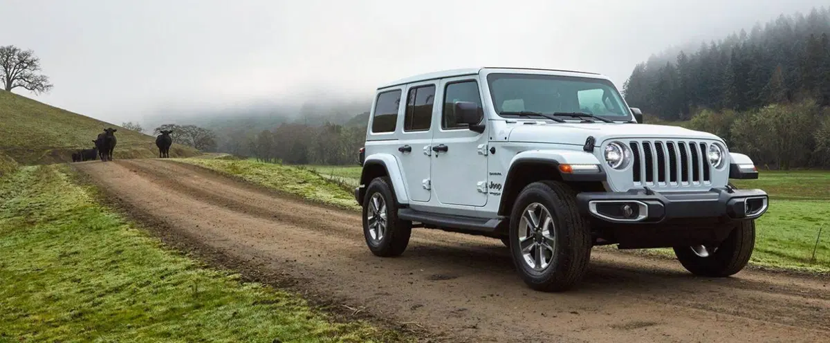 Quale fuoristrada, Confronto: Ford Bronco vs. Jeep Wrangler [US TOP 4x4] (2)