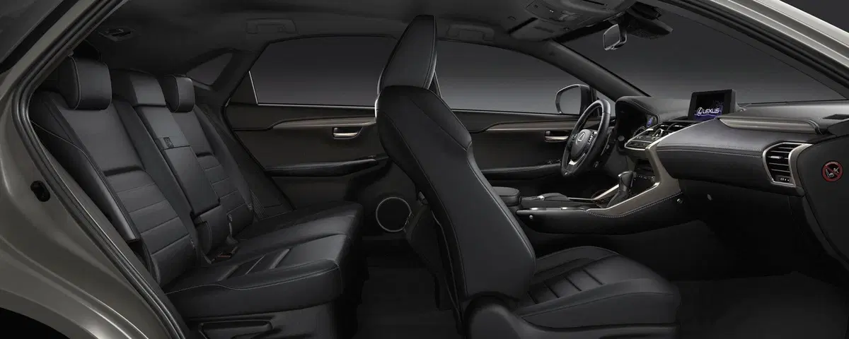 Lexus NX Hybrid 4WD Business (15)
