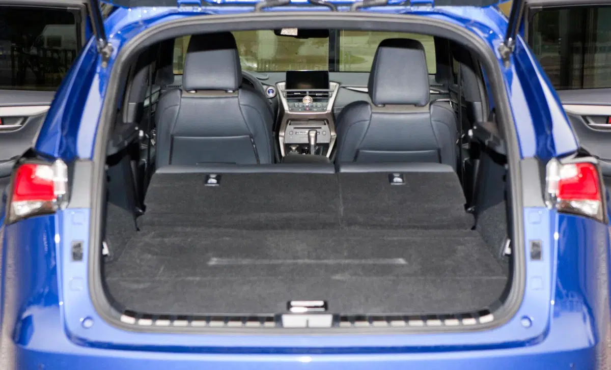 Lexus NX Hybrid 4WD Business (14)