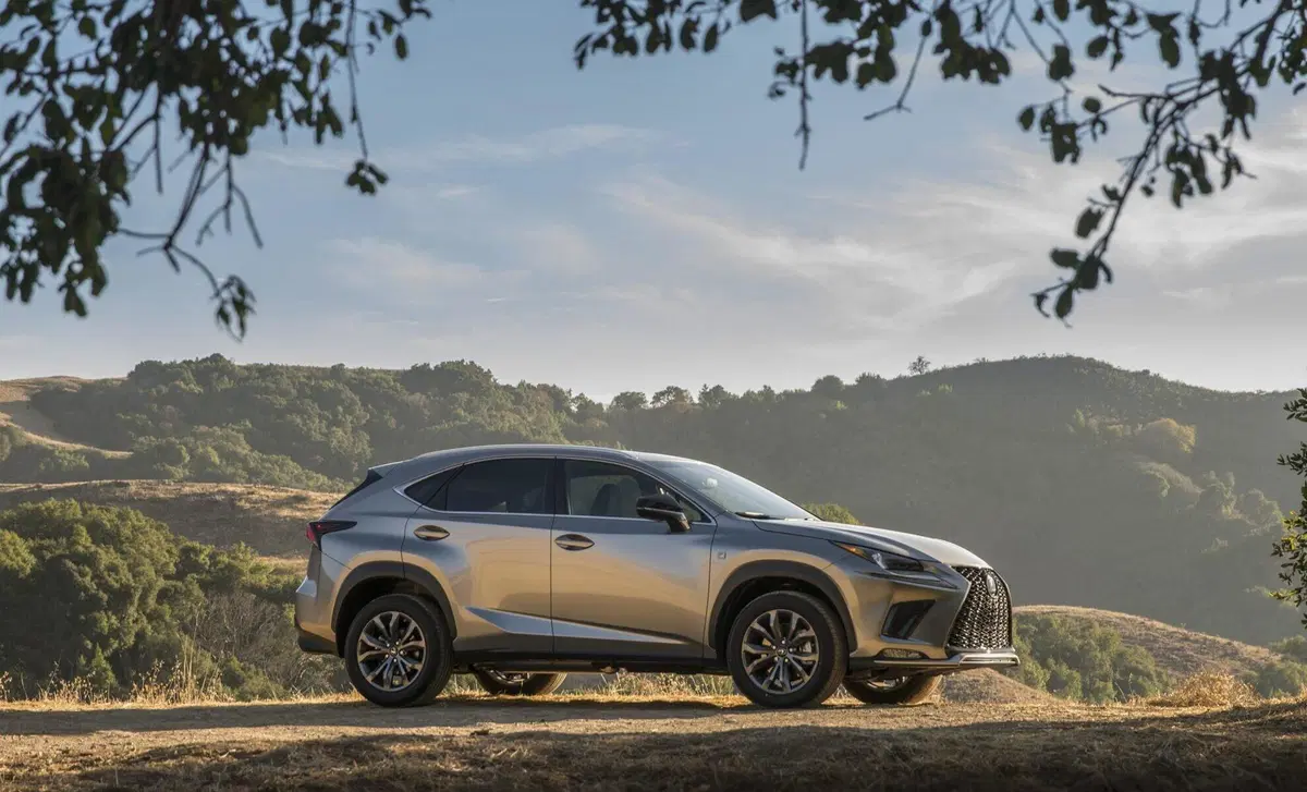 Lexus NX Hybrid 4WD Business (24)