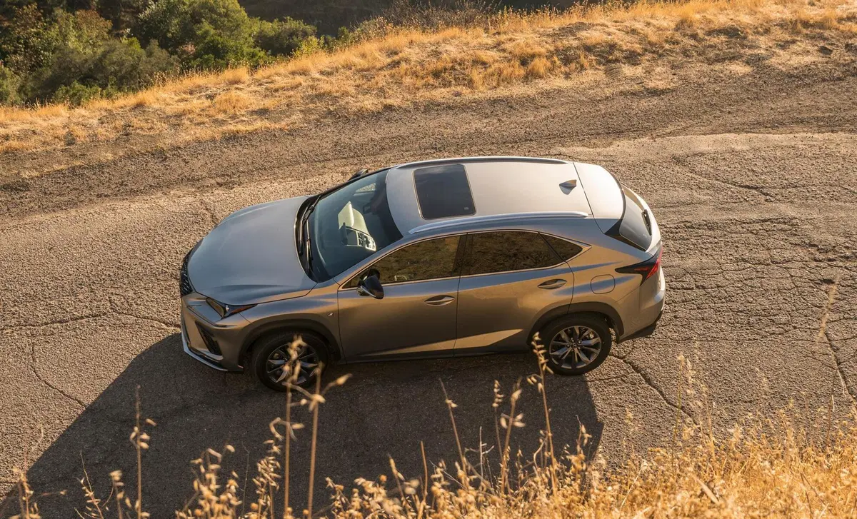 Lexus NX Hybrid 4WD Business (8)