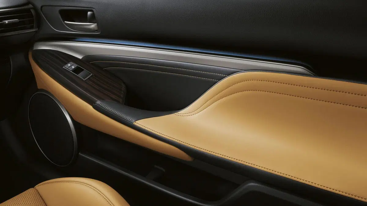 Lexus RC (2015-22) (19)