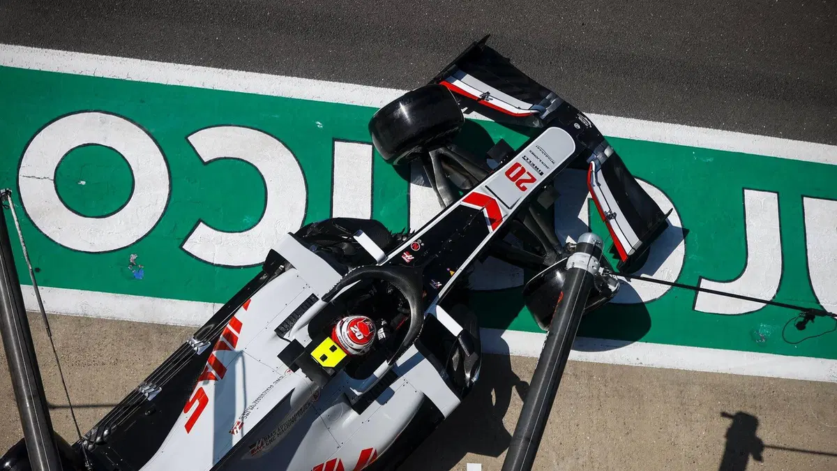 F1, GP Silverstone 2020: Hamilton, Luigino sette bellezze (56)