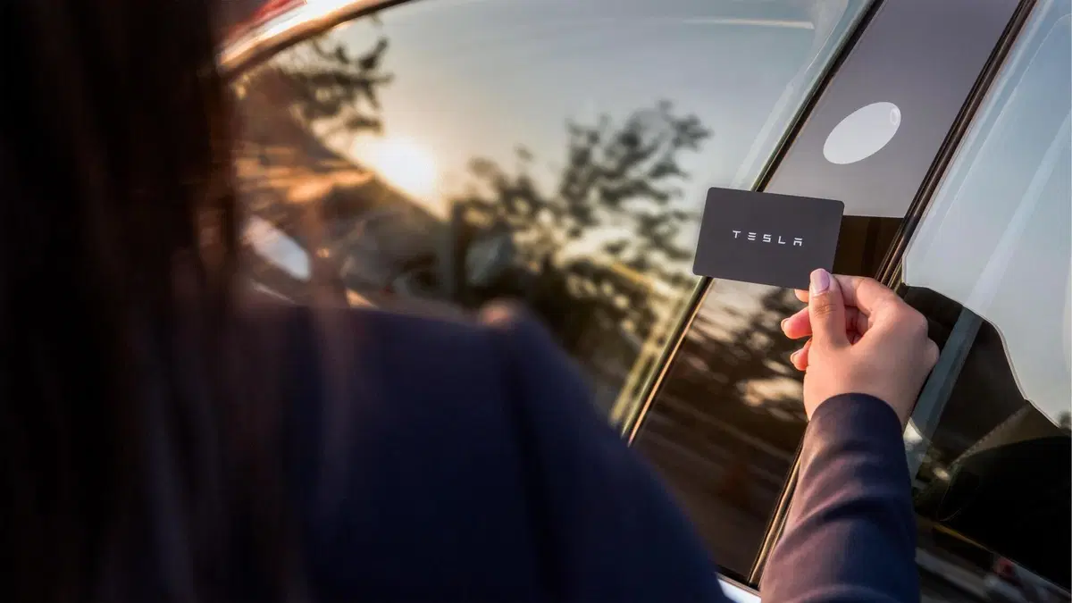 Tesla Model 3 (2018-->>) (51)