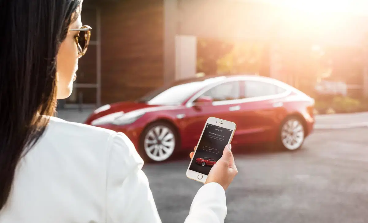 Tesla Model 3 (2018-->>) (52)