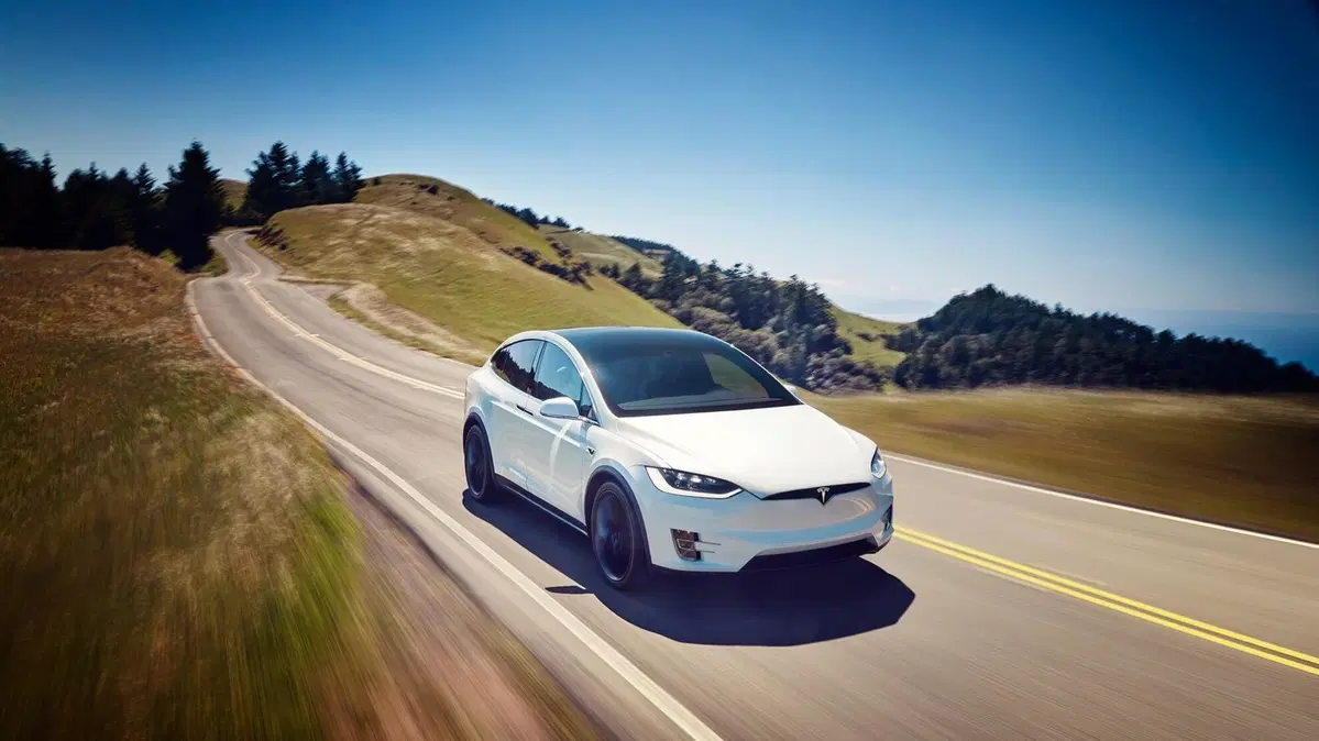 Tesla Model X Model X 90kWh Dual Motor Performance (25)