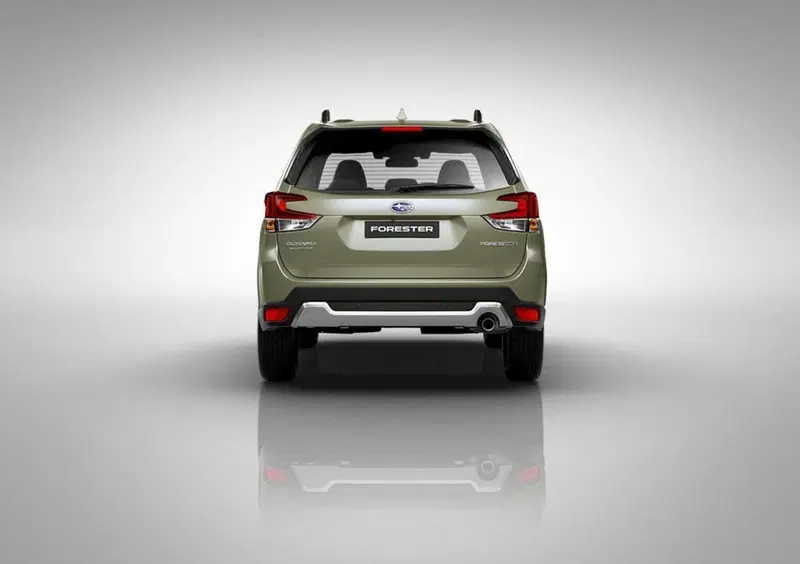 Subaru Forester (2019-24) (24)