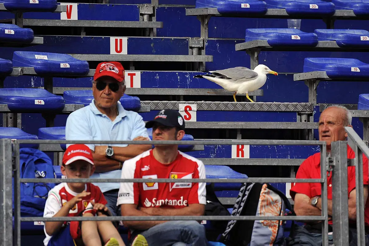 F1, Gp Montecarlo 2016: il mistero buffo della Ferrari (2)