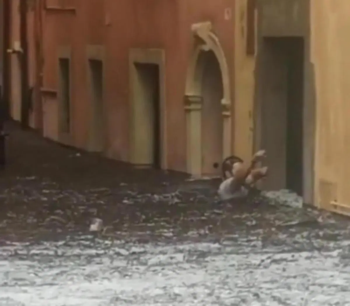 Tempesta su Verona: le immagini del violento nubifragio (3)