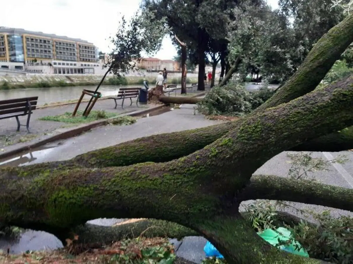 Tempesta su Verona: le immagini del violento nubifragio (12)