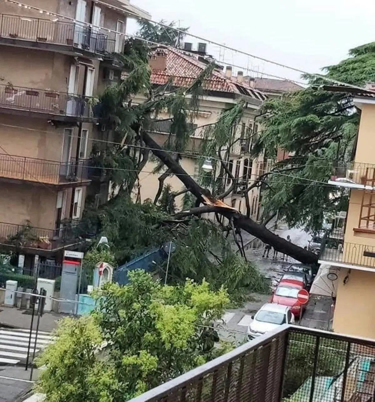 Tempesta su Verona: le immagini del violento nubifragio (14)