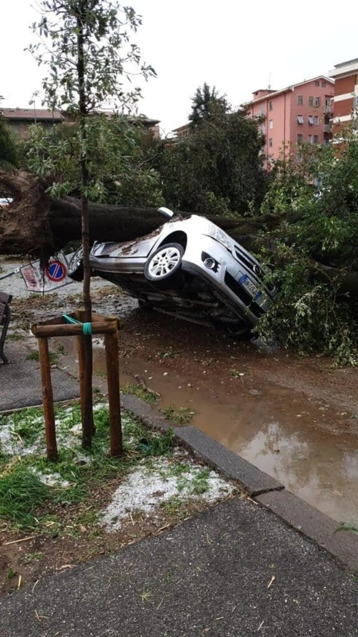Tempesta su Verona: le immagini del violento nubifragio (15)