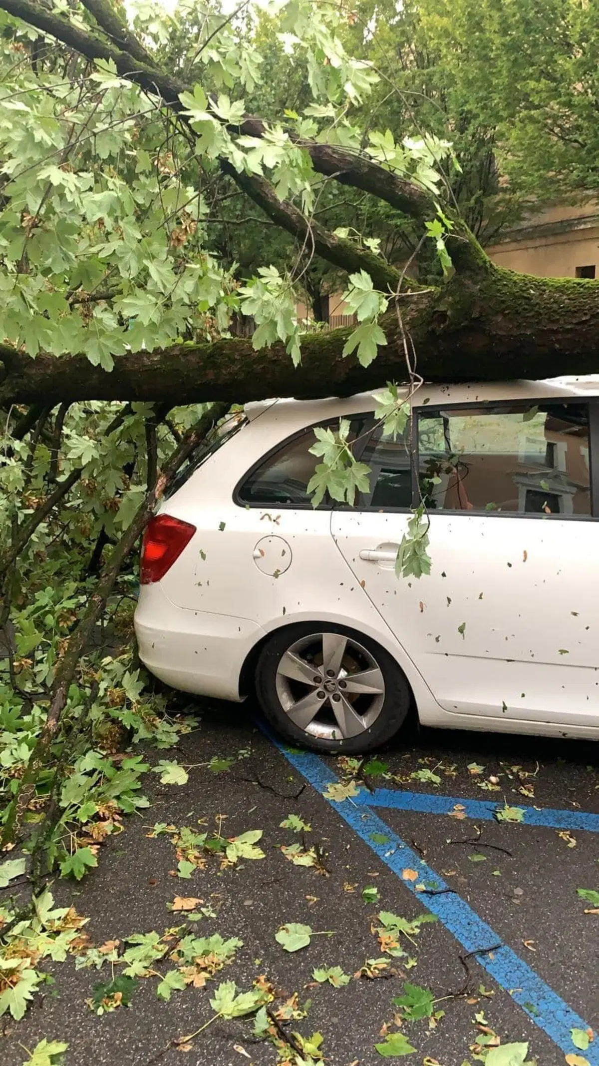 Tempesta su Verona: le immagini del violento nubifragio (18)