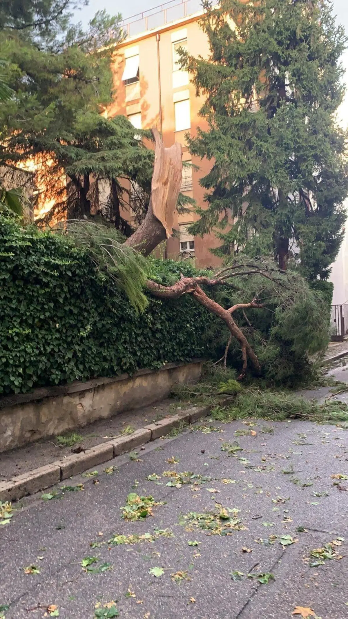 Tempesta su Verona: le immagini del violento nubifragio (19)