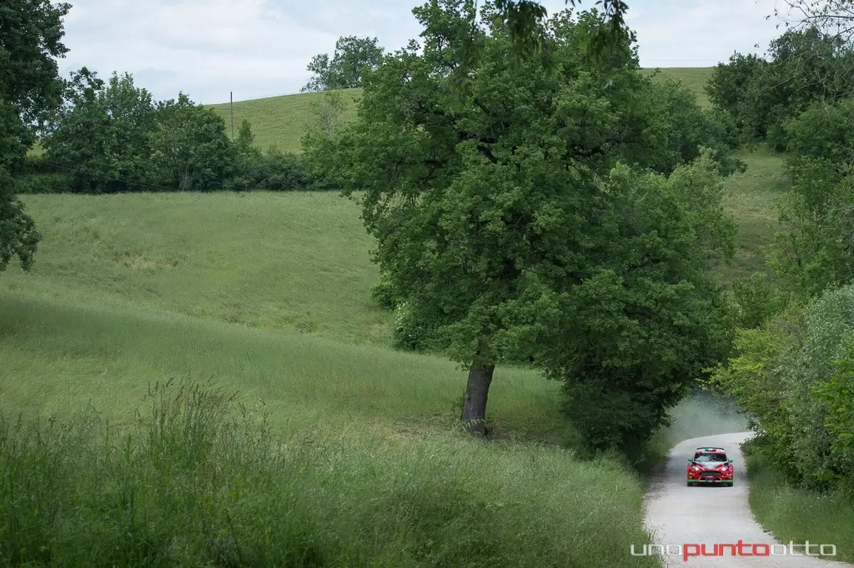 CIR 2016. Rally Adriatico. È Scandola e d’Amore (Skoda) x4 (21)