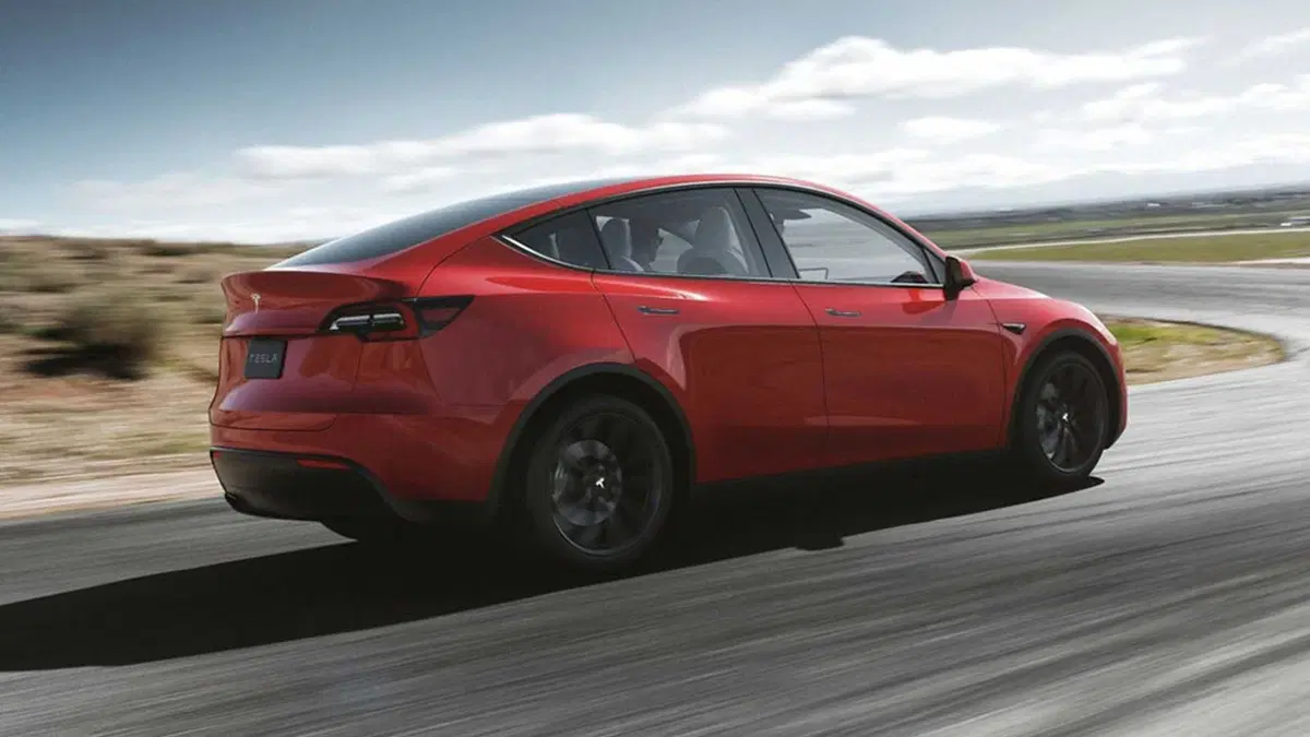 Tesla Model Y: in Europa quando sarà ultimata la fabbrica tedesca. Sarà differente dalla USA (5)