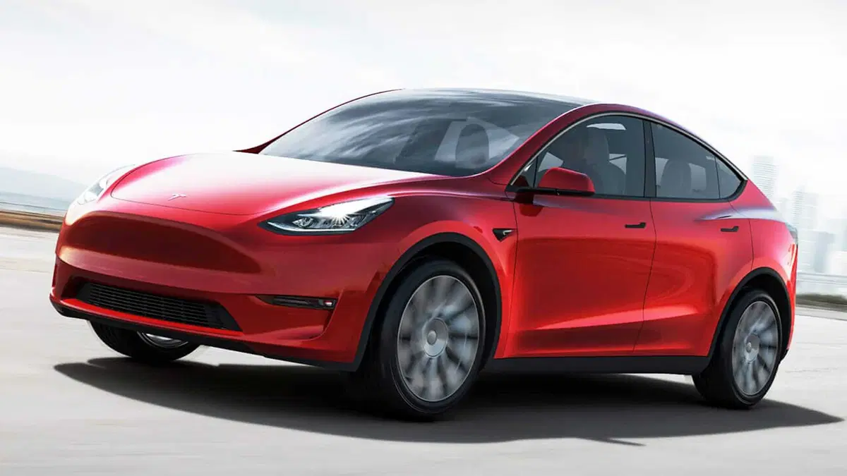 Tesla Model Y: in Europa quando sarà ultimata la fabbrica tedesca. Sarà differente dalla USA (6)