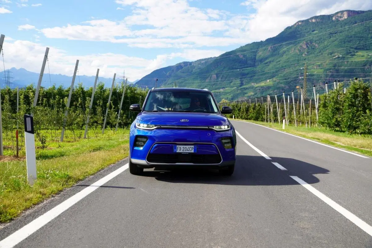 “I 4 Elementi, la natura che parla”: Kia Italia, CNR e Carabinieri su Rai2 (17)