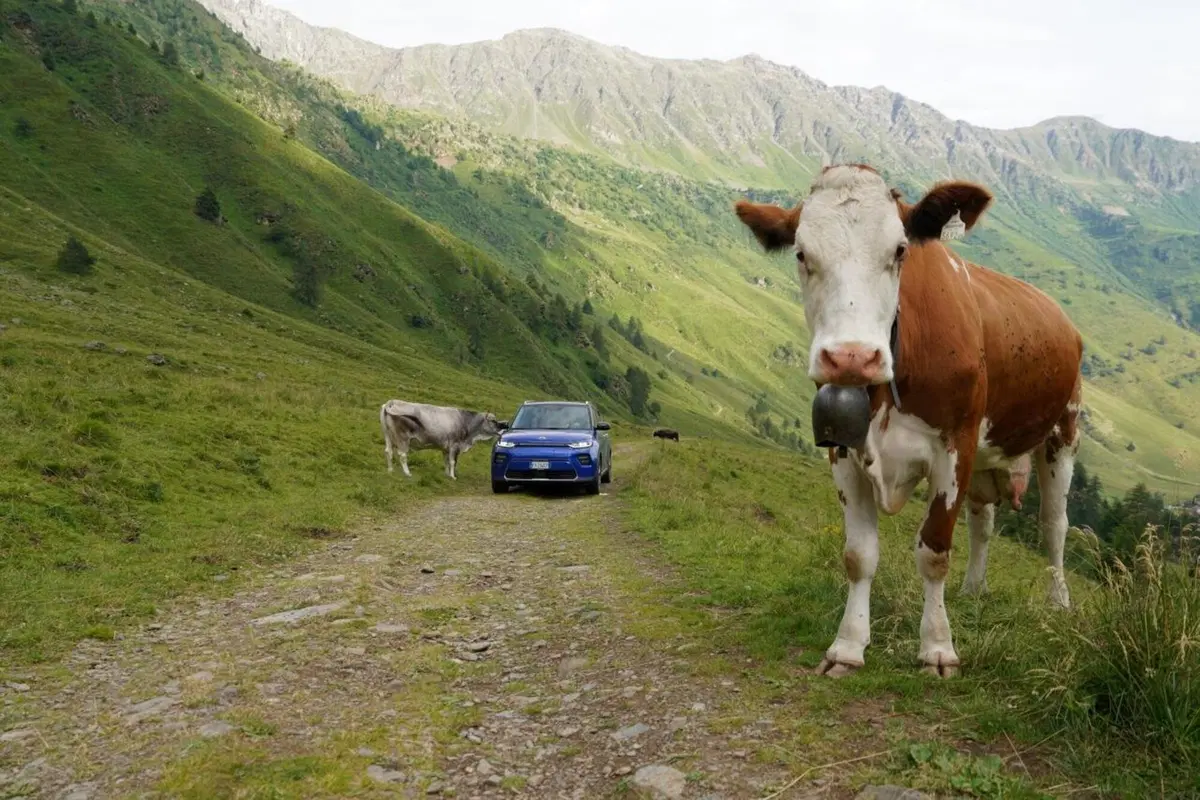 “I 4 Elementi, la natura che parla”: Kia Italia, CNR e Carabinieri su Rai2 (19)