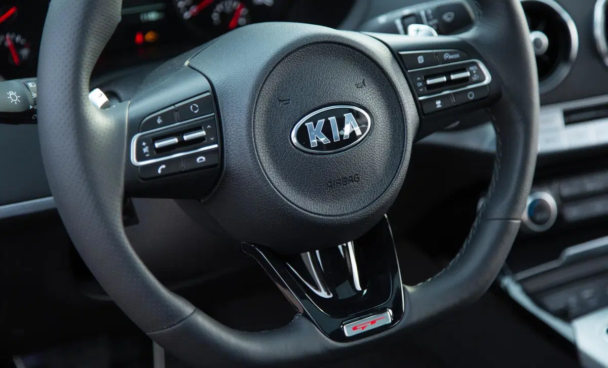 Kia Stinger (2018-21) (16)