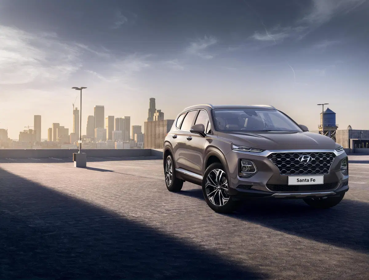 Hyundai Santa Fe (2018-22) (21)