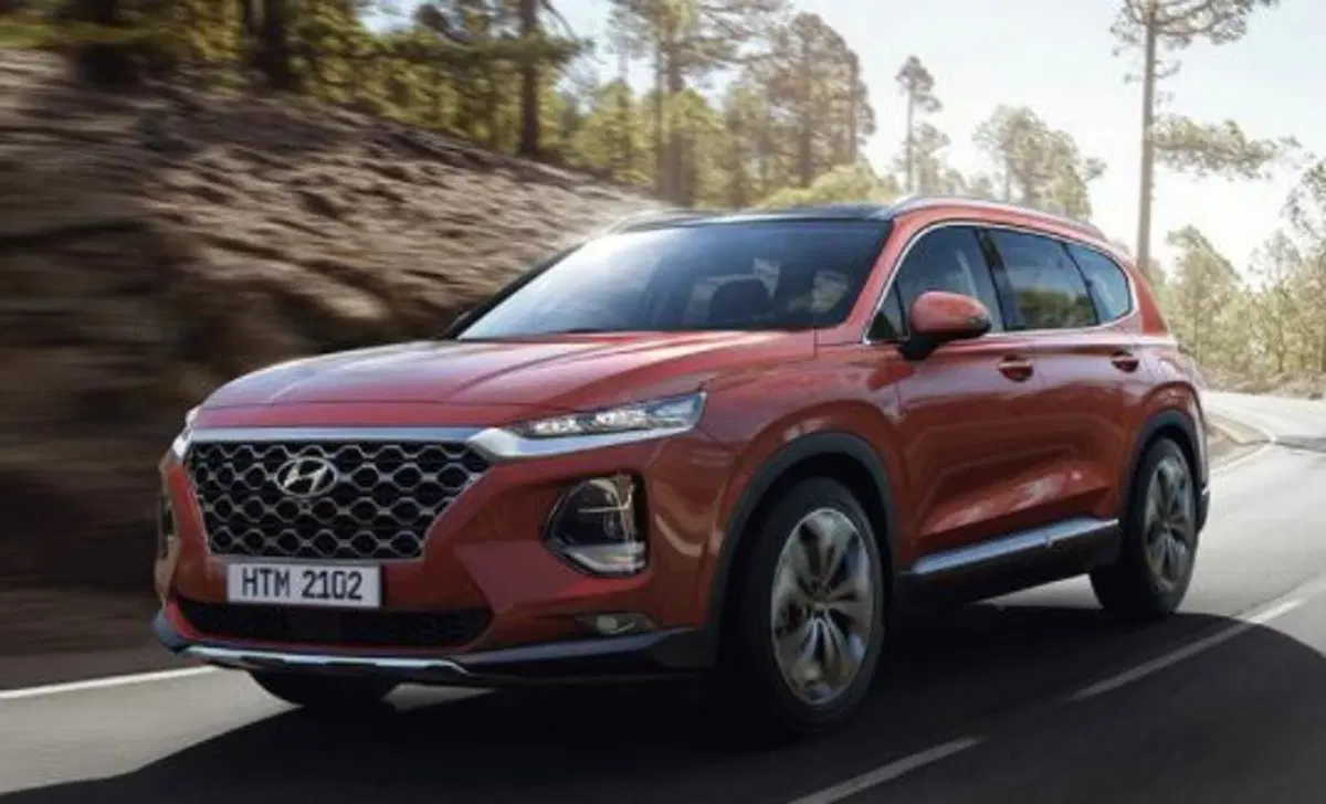 Hyundai Santa Fe (2018-22) (27)
